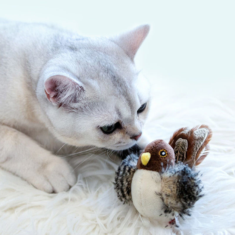 Coco | Jouet interactif pour chats