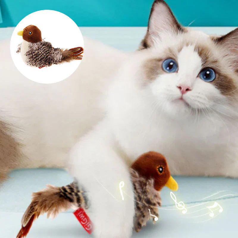 Coco | Jouet interactif pour chats